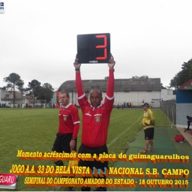 CAMPEONATO AMADOR DO ESTADO 2015-  