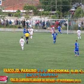 CAMPEONATO AMADOR DO ESTADO 2015-  