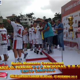 CAMPEONATO AMADOR DO ESTADO 2015-  