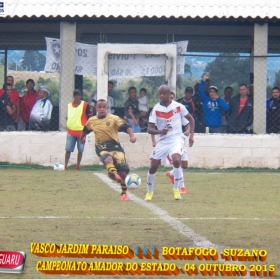 CAMPEONATO AMADOR DO ESTADO 2015-  