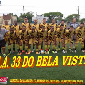 CAMPEONATO AMADOR DO ESTADO 2015-  