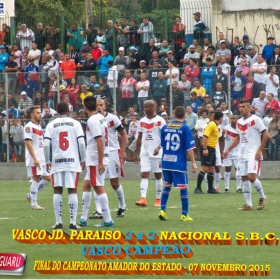 CAMPEONATO AMADOR DO ESTADO 2015-  