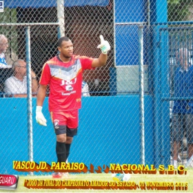 CAMPEONATO AMADOR DO ESTADO 2015-  