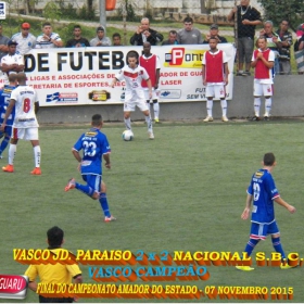 CAMPEONATO AMADOR DO ESTADO 2015-  