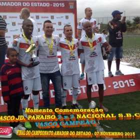 CAMPEONATO AMADOR DO ESTADO 2015-  