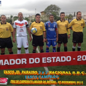 CAMPEONATO AMADOR DO ESTADO 2015-  