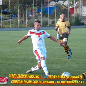 CAMPEONATO AMADOR DO ESTADO 2015-  