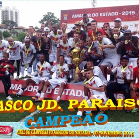 CAMPEONATO AMADOR DO ESTADO 2015-  