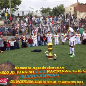 CAMPEONATO AMADOR DO ESTADO 2015-  