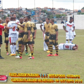 CAMPEONATO AMADOR DO ESTADO 2015-  