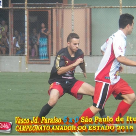 CAMPEONATO AMADOR DO ESTADO 2015-  