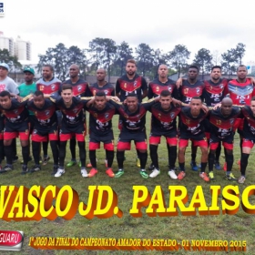 CAMPEONATO AMADOR DO ESTADO 2015-  