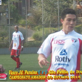 CAMPEONATO AMADOR DO ESTADO 2015-  