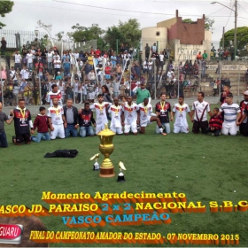 CAMPEONATO AMADOR DO ESTADO 2015-  