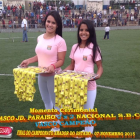 CAMPEONATO AMADOR DO ESTADO 2015-  