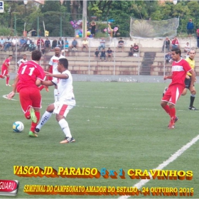 CAMPEONATO AMADOR DO ESTADO 2015-  