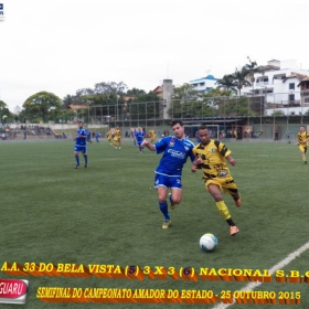 CAMPEONATO AMADOR DO ESTADO 2015-  