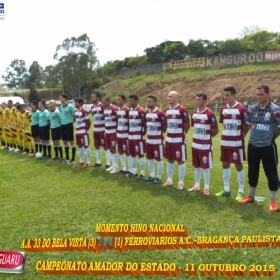 CAMPEONATO AMADOR DO ESTADO 2015-  