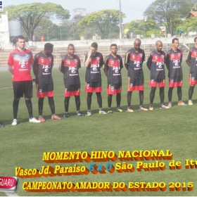 CAMPEONATO AMADOR DO ESTADO 2015-  