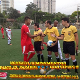 CAMPEONATO AMADOR DO ESTADO 2015-  