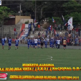 CAMPEONATO AMADOR DO ESTADO 2015-  