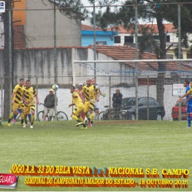 CAMPEONATO AMADOR DO ESTADO 2015-  