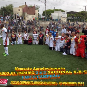 CAMPEONATO AMADOR DO ESTADO 2015-  