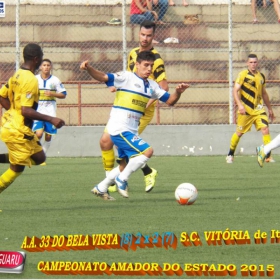 CAMPEONATO AMADOR DO ESTADO 2015-  