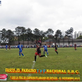 CAMPEONATO AMADOR DO ESTADO 2015-  