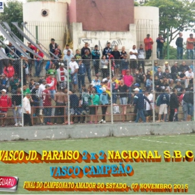 CAMPEONATO AMADOR DO ESTADO 2015-  