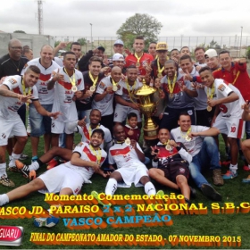 CAMPEONATO AMADOR DO ESTADO 2015-  