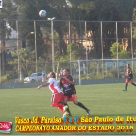 CAMPEONATO AMADOR DO ESTADO 2015-  