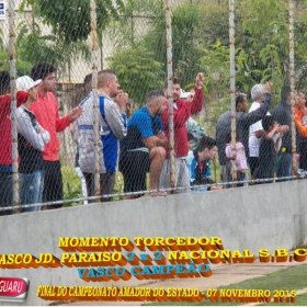 CAMPEONATO AMADOR DO ESTADO 2015-  