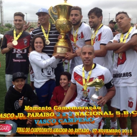 CAMPEONATO AMADOR DO ESTADO 2015-  