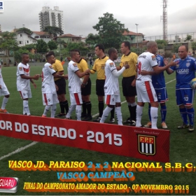 CAMPEONATO AMADOR DO ESTADO 2015-  