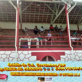 CAMPEONATO AMADOR DO ESTADO 2015-  