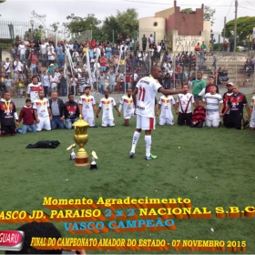 CAMPEONATO AMADOR DO ESTADO 2015-  