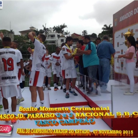 CAMPEONATO AMADOR DO ESTADO 2015-  