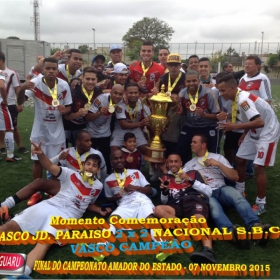 CAMPEONATO AMADOR DO ESTADO 2015-  