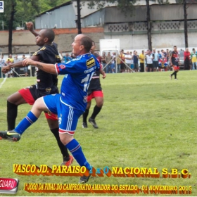 CAMPEONATO AMADOR DO ESTADO 2015-  