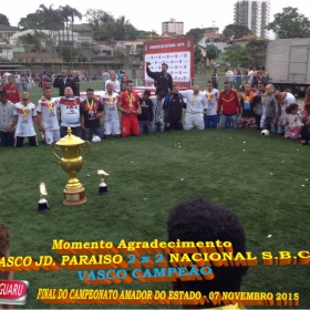 CAMPEONATO AMADOR DO ESTADO 2015-  