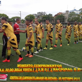 CAMPEONATO AMADOR DO ESTADO 2015-  