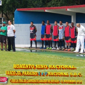 CAMPEONATO AMADOR DO ESTADO 2015-  