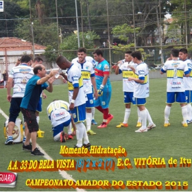 CAMPEONATO AMADOR DO ESTADO 2015-  