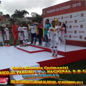 CAMPEONATO AMADOR DO ESTADO 2015-  