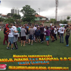 CAMPEONATO AMADOR DO ESTADO 2015-  