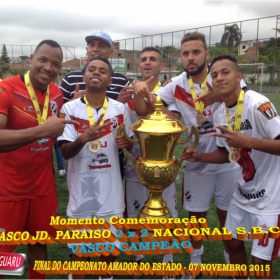 CAMPEONATO AMADOR DO ESTADO 2015-  