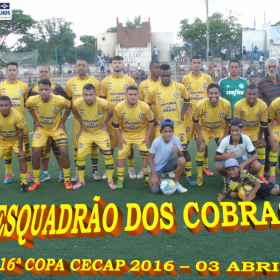 16º COPA CECAP 2016 - BOTAFOGO JAÇANÃ É  O GRANDE CAMPEÃO VENCEU POR 3 X 0 A EQUIPE DO BOM GOLE/L3  