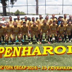 16º COPA CECAP 2016 - BOTAFOGO JAÇANÃ É  O GRANDE CAMPEÃO VENCEU POR 3 X 0 A EQUIPE DO BOM GOLE/L3  