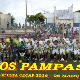 16º COPA CECAP 2016 - BOTAFOGO JAÇANÃ É  O GRANDE CAMPEÃO VENCEU POR 3 X 0 A EQUIPE DO BOM GOLE/L3  